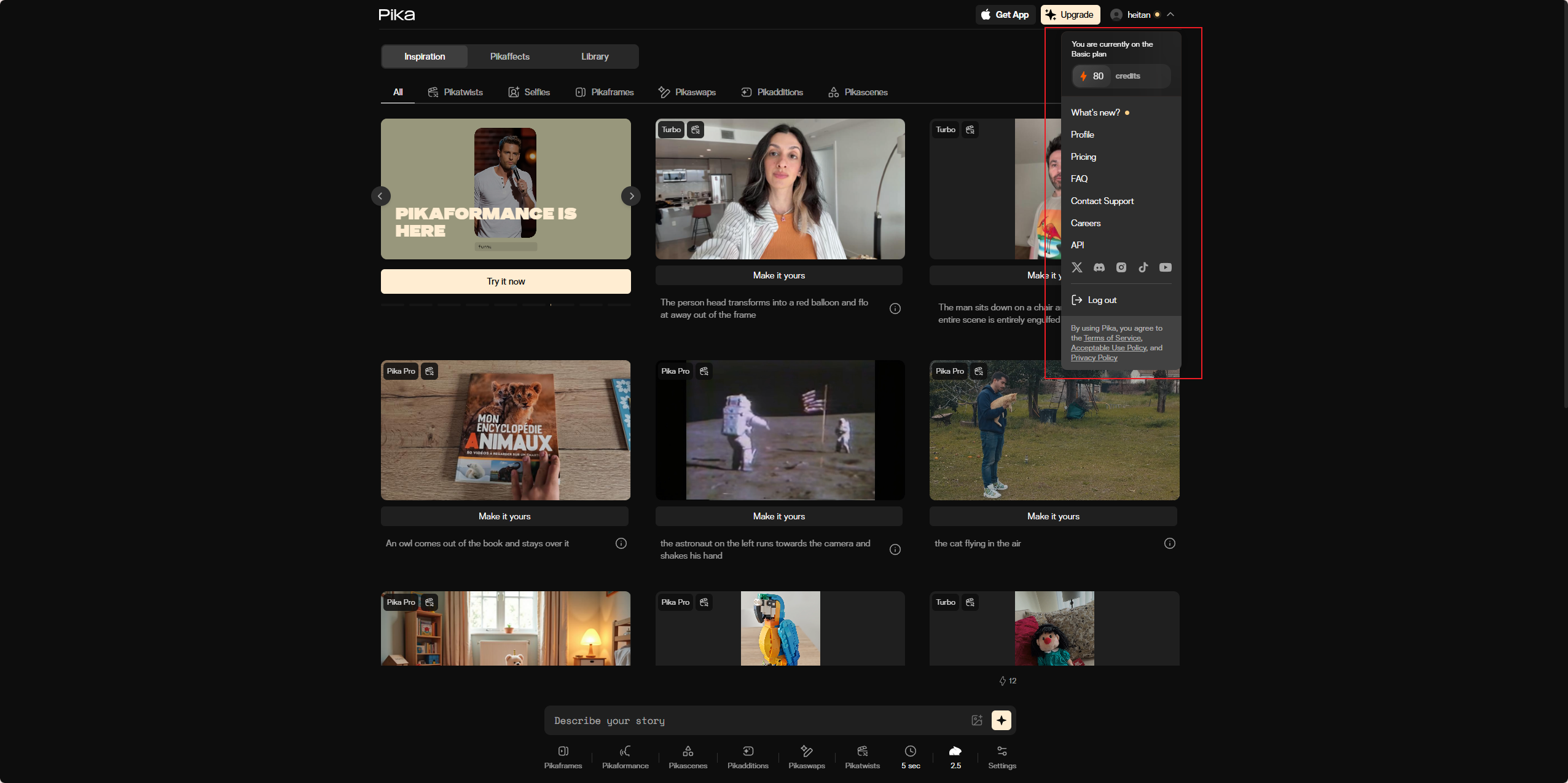 Pika Labs dashboard showing credit balance